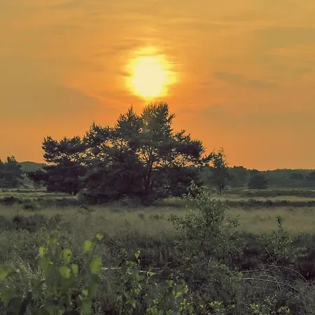 Chalé Koolmees Veluwe *