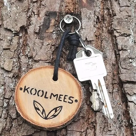 Chalé Koolmees Veluwe *