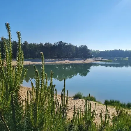 Chalé Koolmees Veluwe Nunspeet
