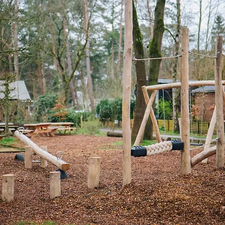 Koolmees Veluwe Chalé *