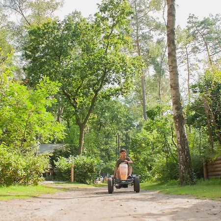 Koolmees Veluwe *